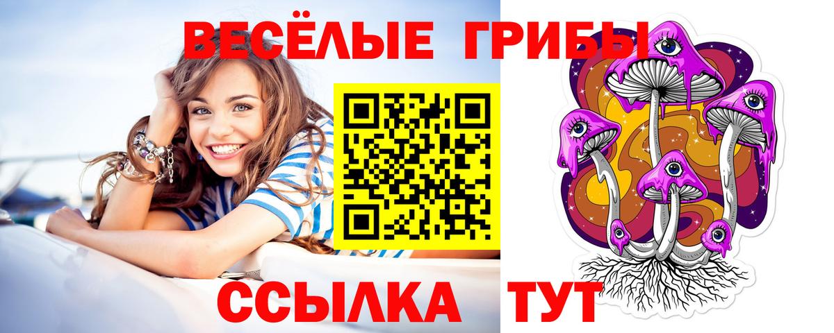Анжеро-Судженск  Псилоцибиновые грибы Psilocybe  Вход с VPN 